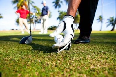Golf at Dorado Beach Resort