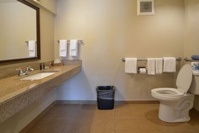 Bathroom interior in ADA Room at Rosen Inn at Pointe Orlando