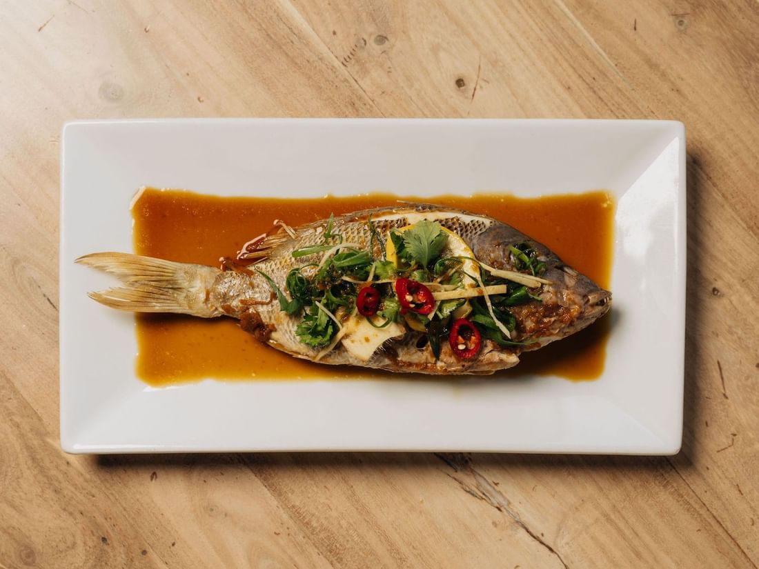 Dish of fish with sauce and garnish on white plate at Other Side of the Moon Restaurant & Bar