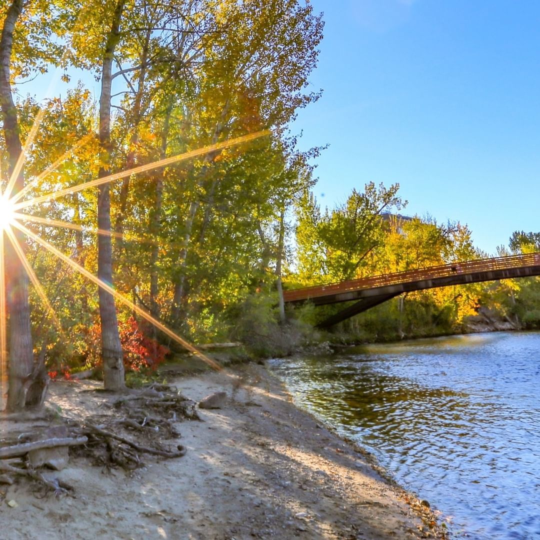 View of a river with a bridge & sun shining through the trees