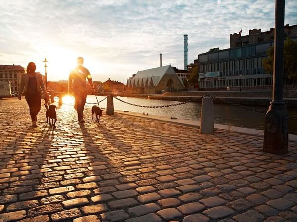 Discover Gothenburg from Hotel Riverton