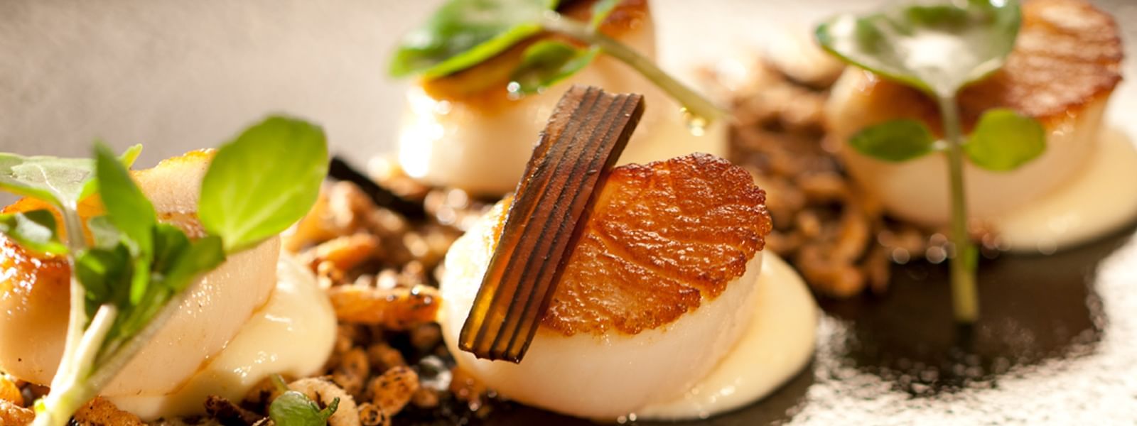 Served dish in Mr. Hive Kitchen & Bar at Crown Hotel Melbourne
