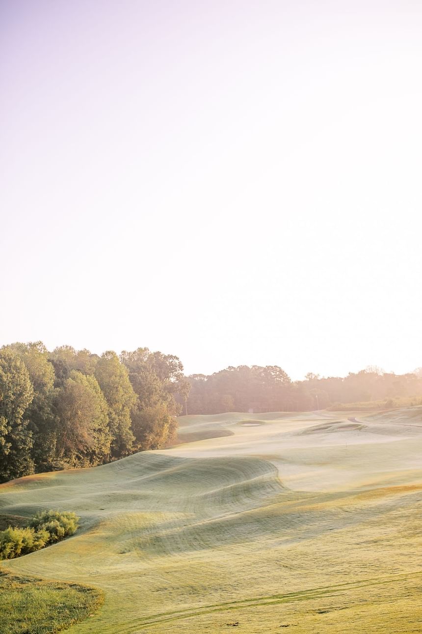 Rolling green golf course fairway bathed in bright morning sunlight at Clemson University Conference Center & Innarly morning