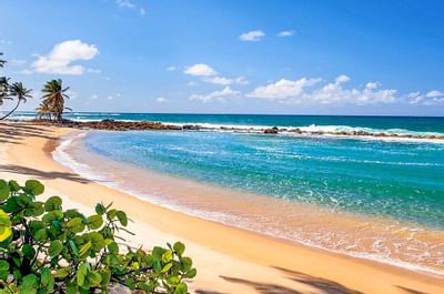 West Beach at Dorado Beach Resort