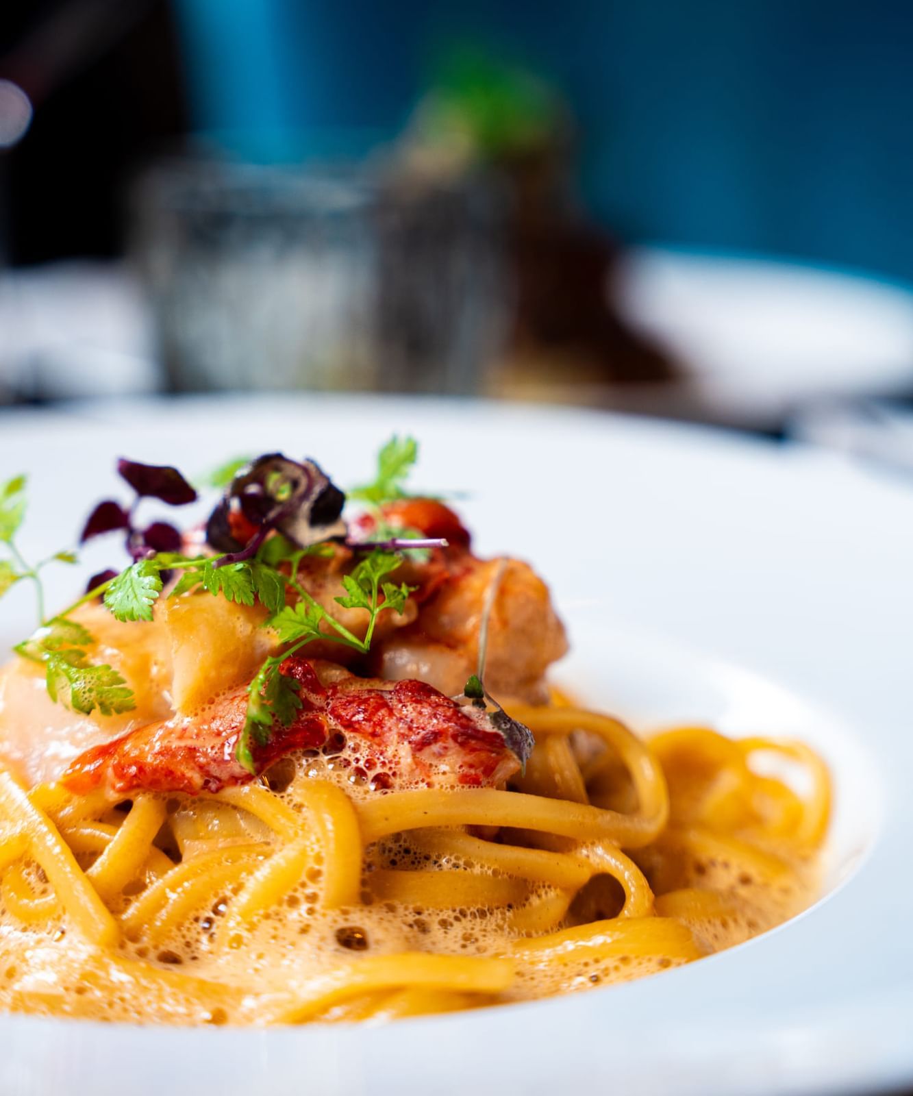 Close-up of Fresh Linguine with Lobster served in Restaurant Le W