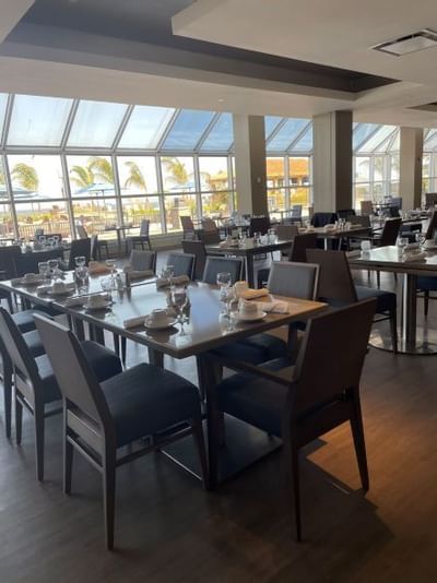 dining room with blue chairs