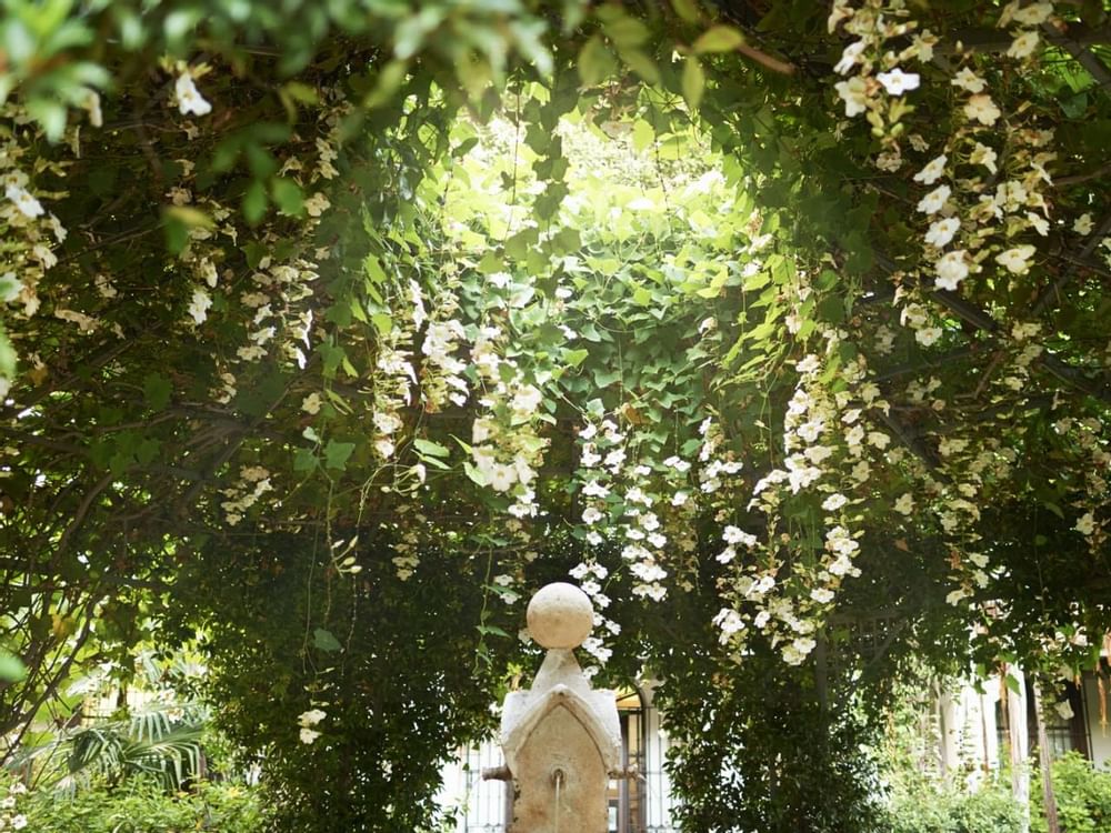 A water fountain surrounded by plants at Marbella Club Hotel