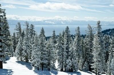 Snow-covered pine trees frame a distant, clear blue Lake Tahoe under a bright, sunny winter sky near Americana Village Suites