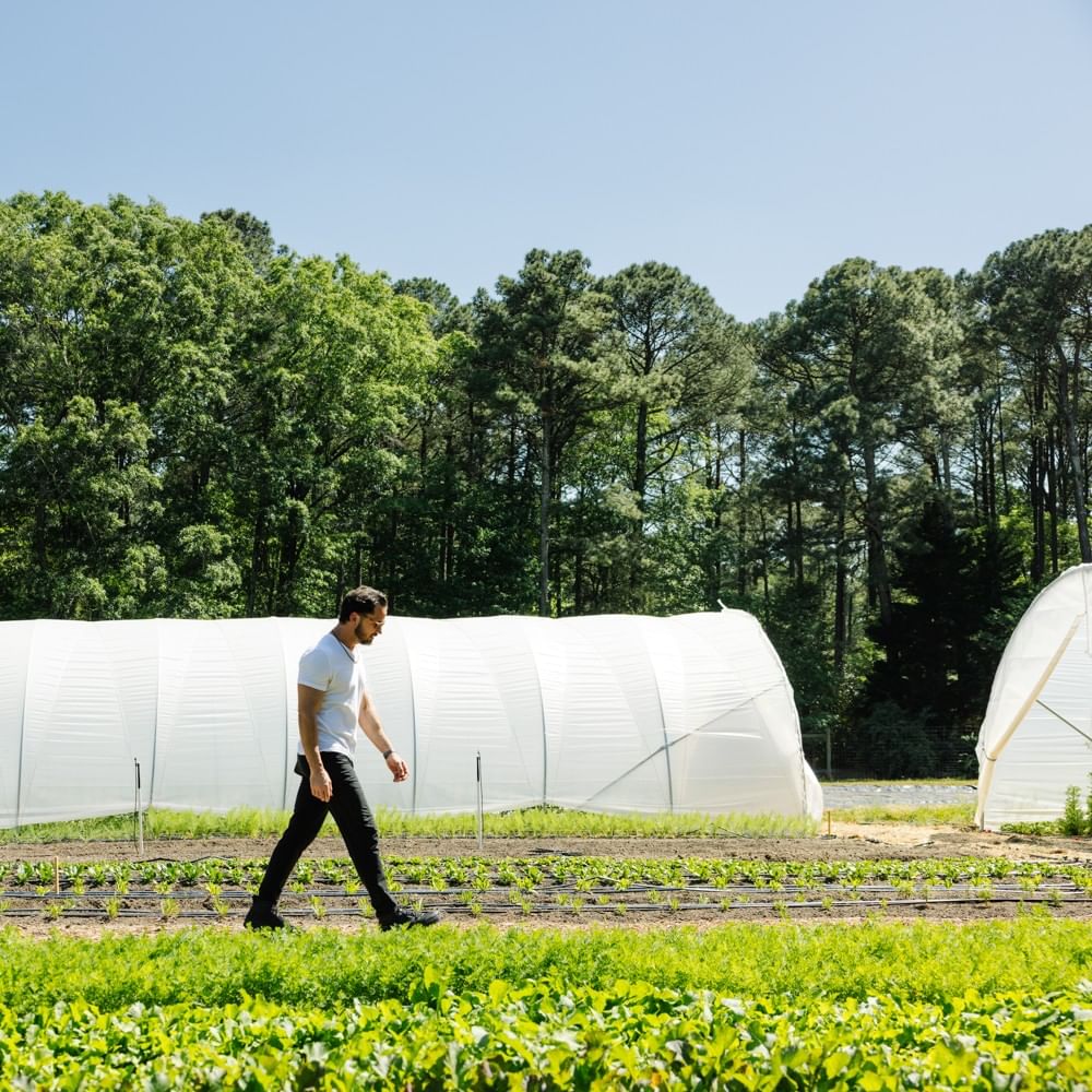 Chef Greene at his One Oak Farm