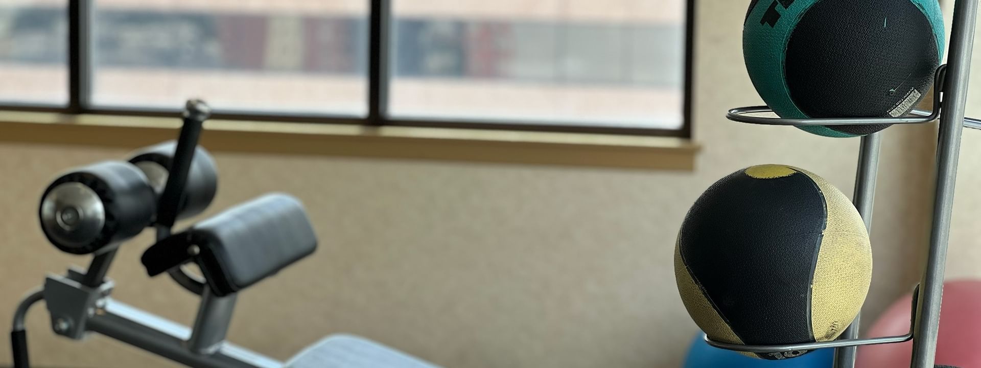 Medicine balls on a rack by a weight bench under soft light near a window at Warwick Denver