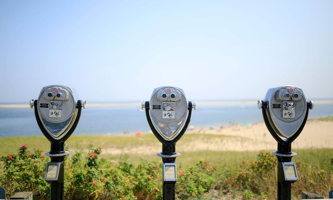 Things to do in Chatham MA