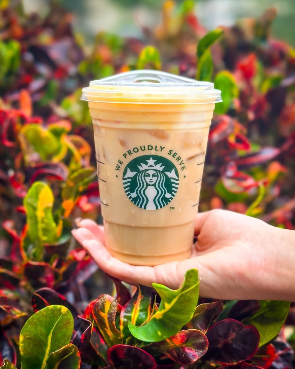 A hand holding a Starbucks iced pumpkin spice latte with red and green foliage in the background.