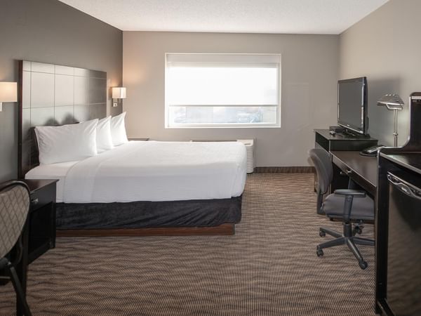 Queen room with white bed, desk, chair, and television