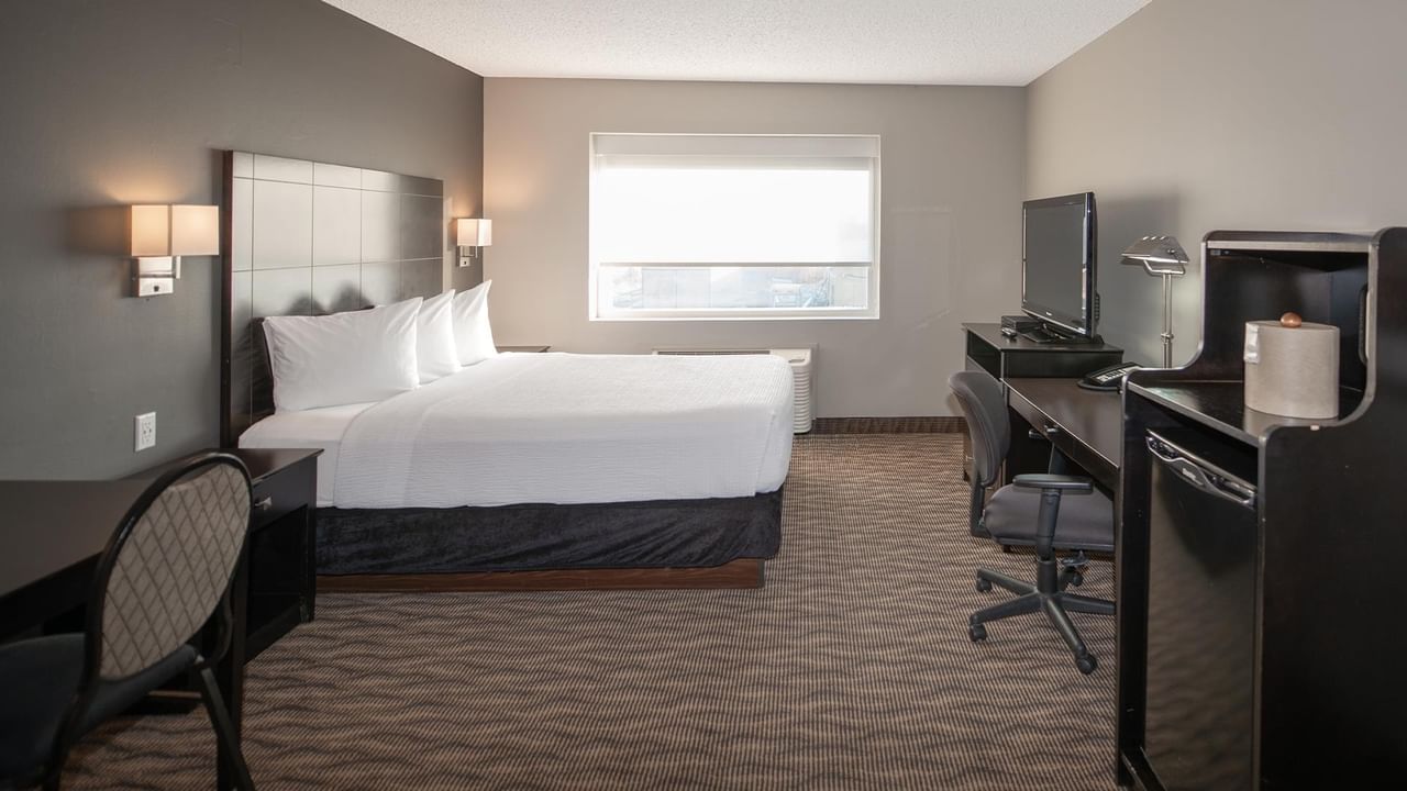 Queen room with white bed, desk, chair, and television
