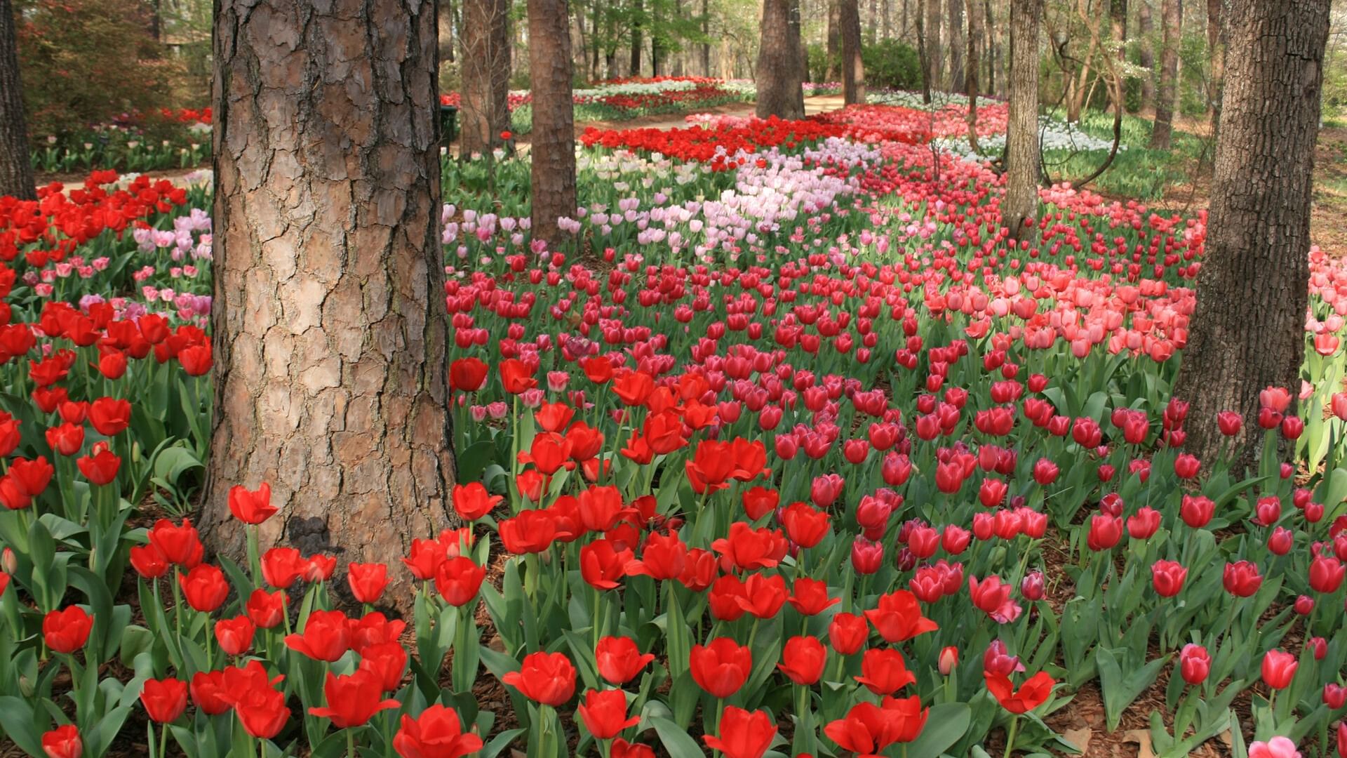 {item.first_photo.alt}