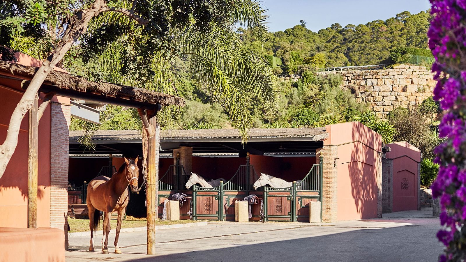 Equestrian center with horses standing in stalls under a rustic thatched roof at the Marbella Club