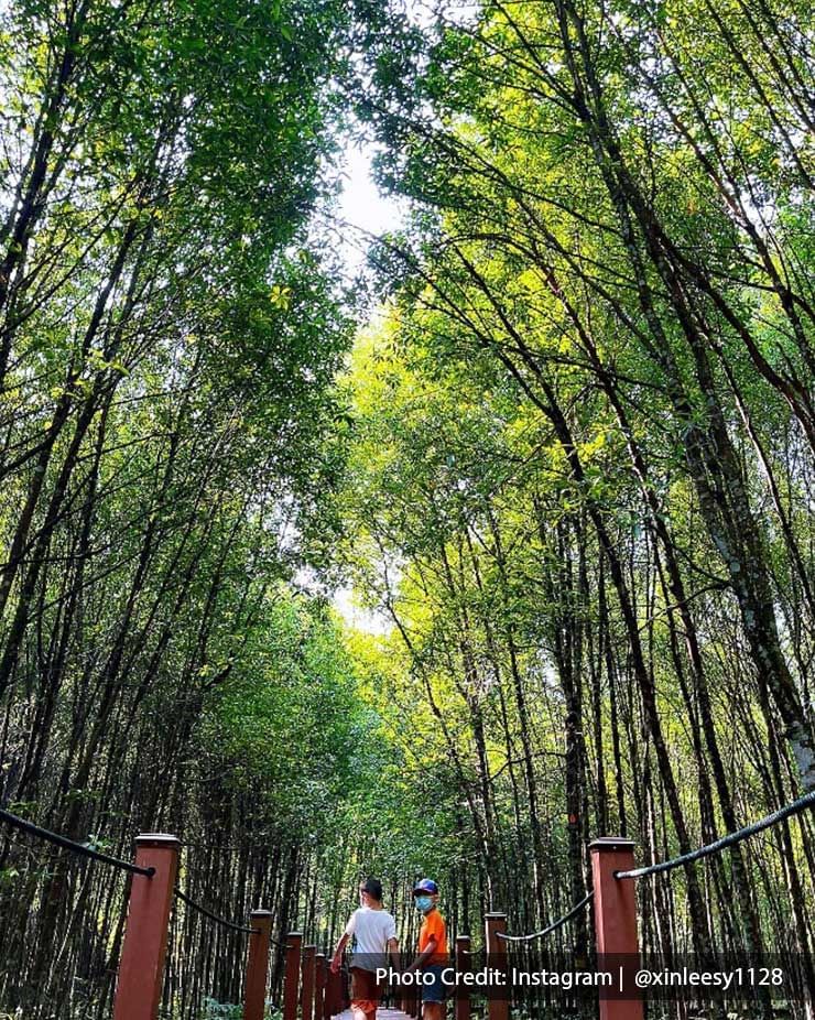 Two children were strolling through the Matang Mangrove Forest Reserve Eco Park - Lexis Suites Penang 