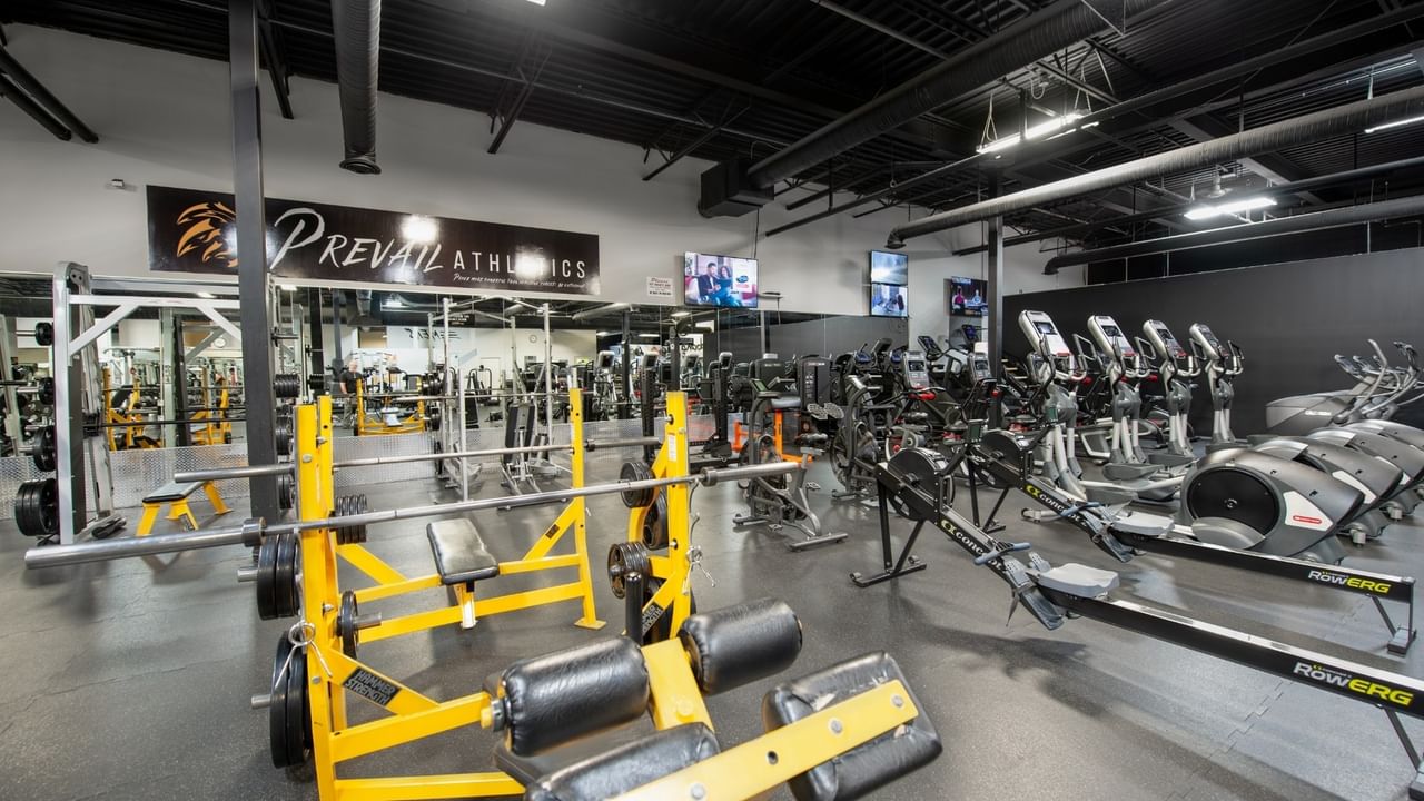 Gym interior with various exercise machines
