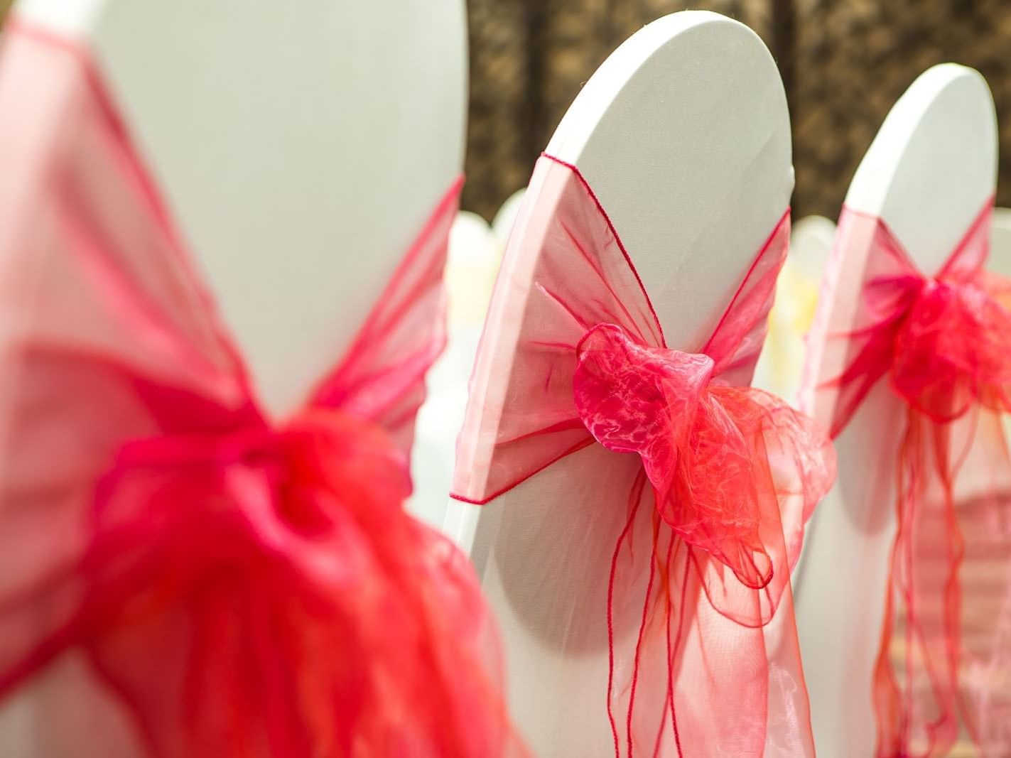 Three white chairs with flowing pink organza bows arranged neatly for an event setting at Heston Hyde Hotel