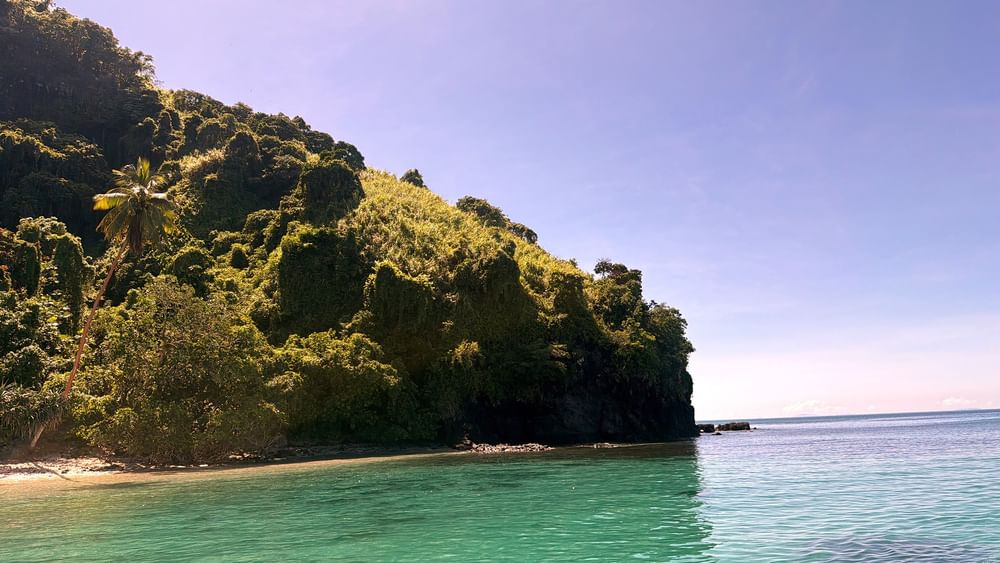 Tropical beach with clear water and lush greenery at The Naviti Resort in Korolevu.