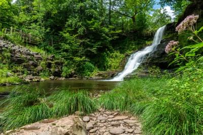 Stratton Falls cascades into calm water surrounded by lush greenery and wildflowers near The Roxbury
