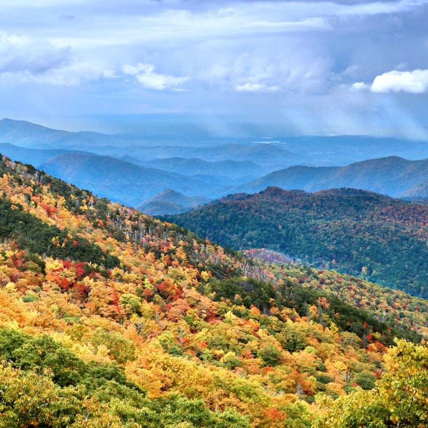 Fall Foliage Report 2025