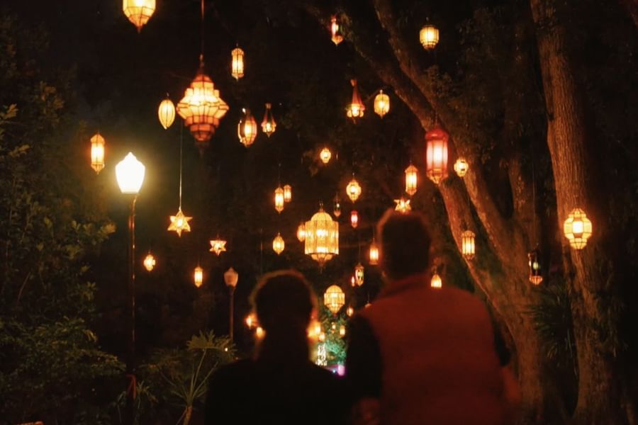 Leu Gardens Dazzling Nights