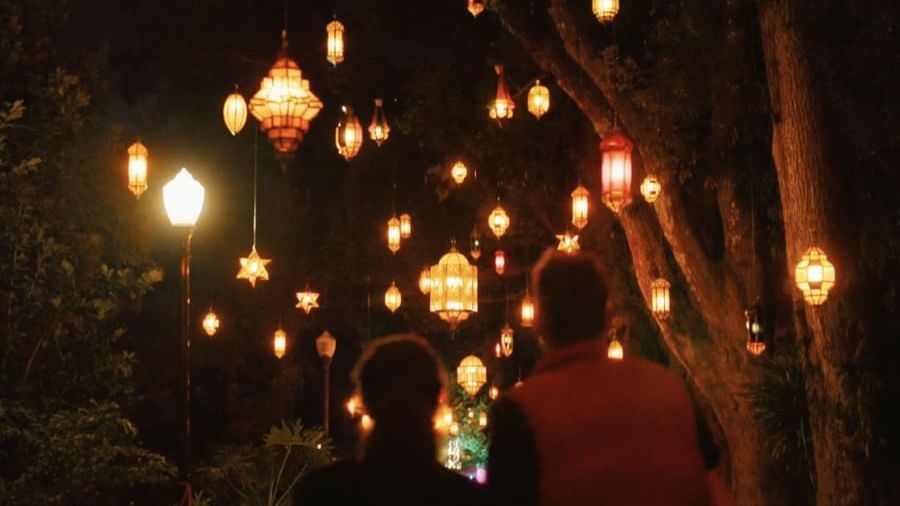 Leu Gardens Dazzling Nights