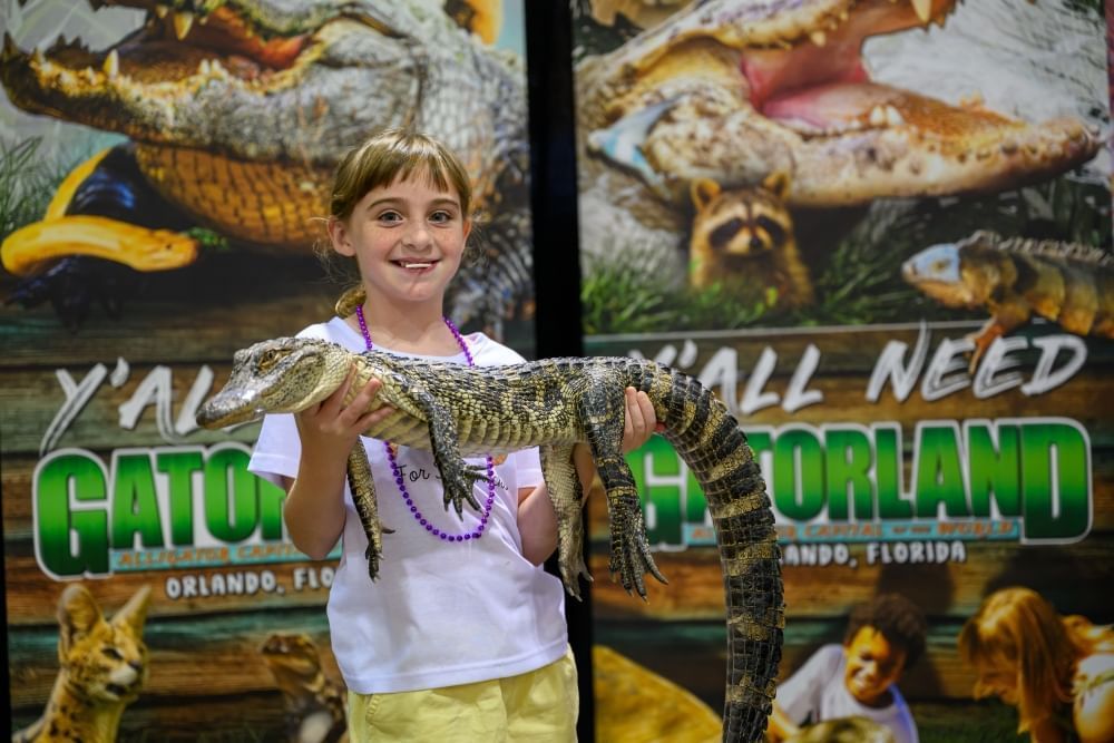 A young girl in a white t-shirt smiles while holding a young alligator in front of a Gatorland sign. 