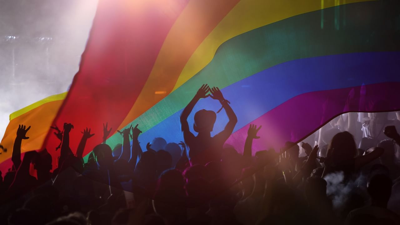 Crowd silhouetted against a rainbow flag at a Pride Festival event.