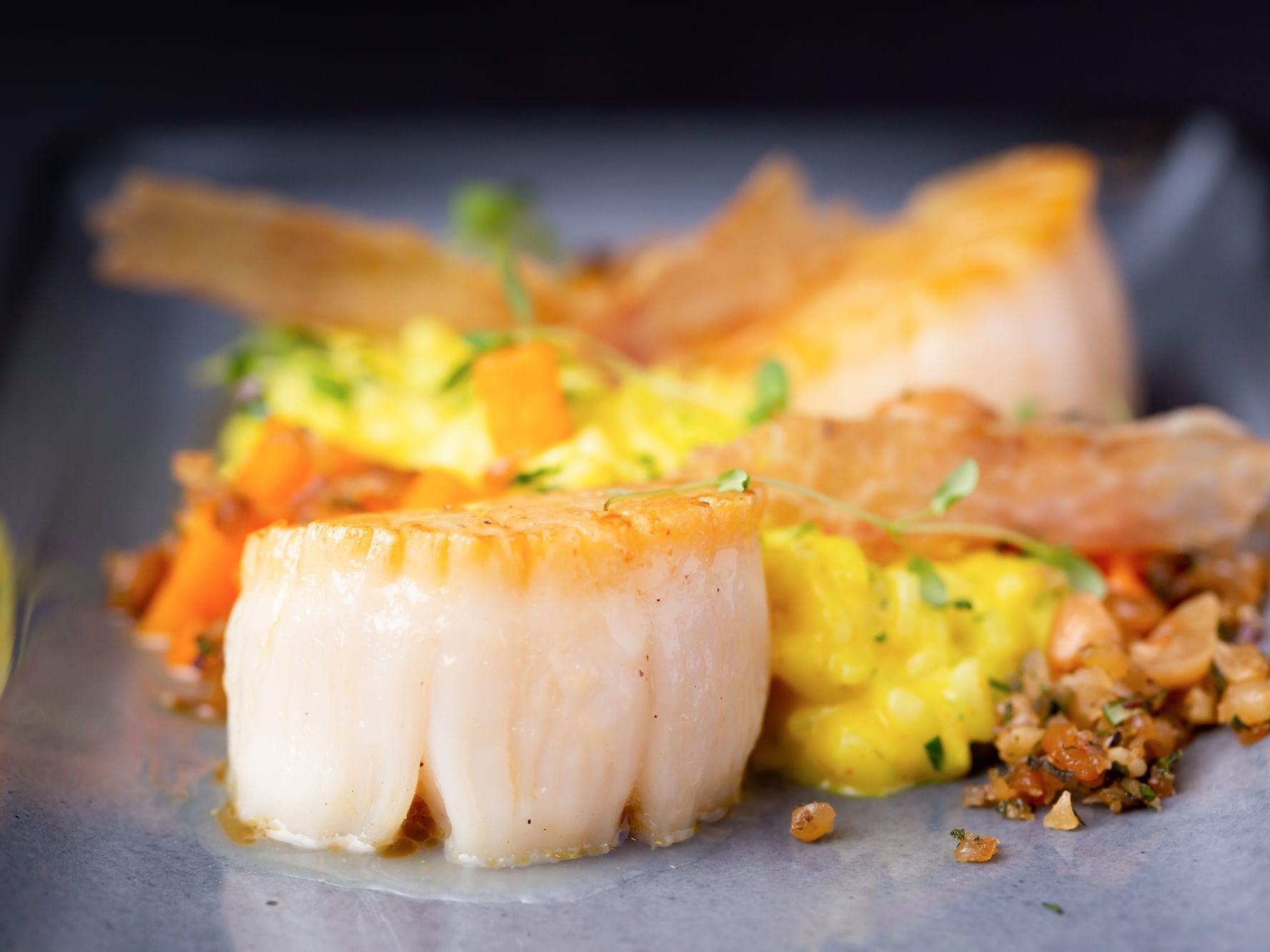 Maine Scallops Winter 2021