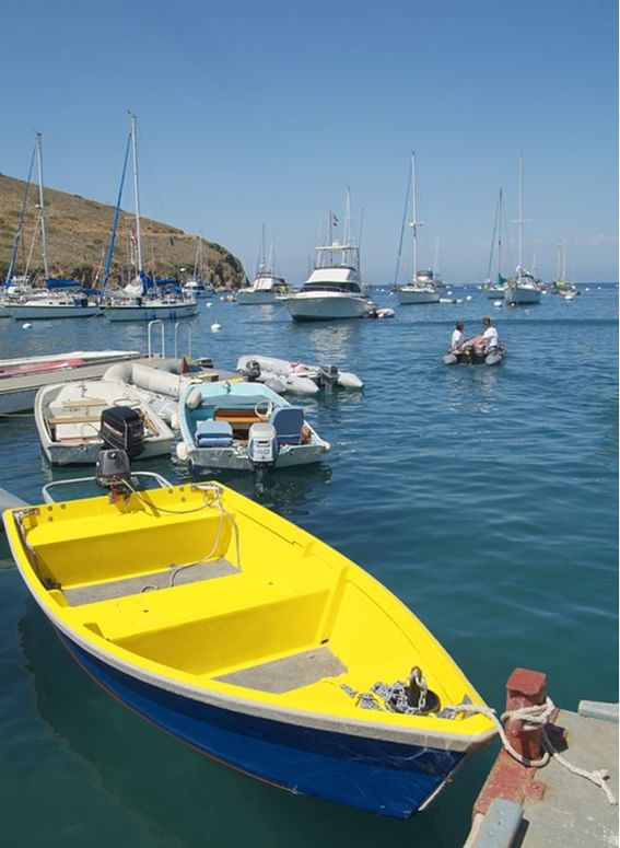 Yellow boat in the foreground with multiple boats and yachts on a sea near Catalina Island luxury hotels