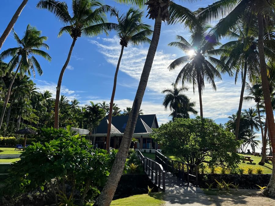 Building with black roof behind palm trees and wooden walkway at Tambua Sands Beach Resort - Fiji.