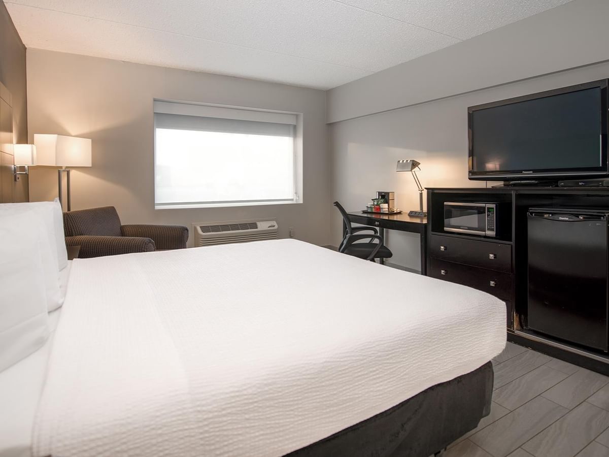 King size bed with white bedding and modern amenities in a pet friendly hotel room