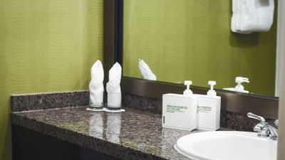 Bathroom amenities in Queen Studio Deluxe at Summit Lodge