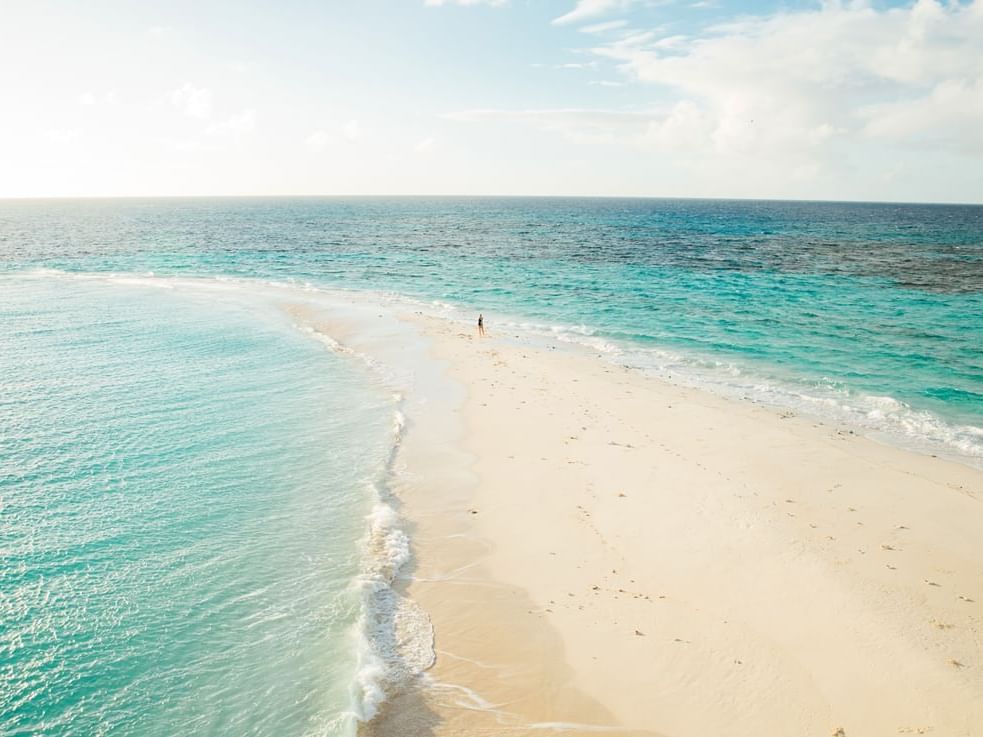 Landscape view of Vlasoff Sand Cay beach near Pullman Cairns