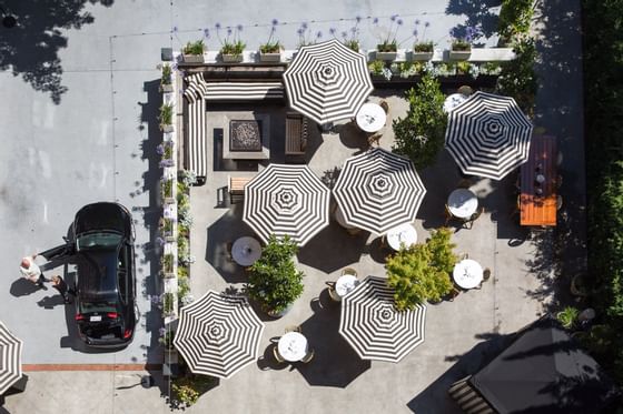 Aerial view of the outdoor garden at  Hotel Sorrento