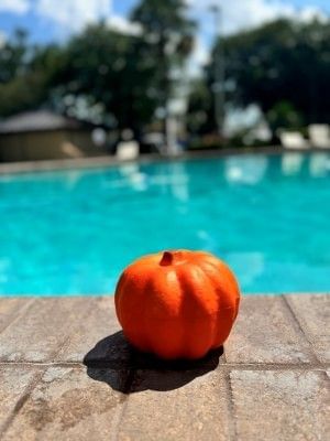 A pumpkin sitting by the pool at Rosen Inn closest to Universal.