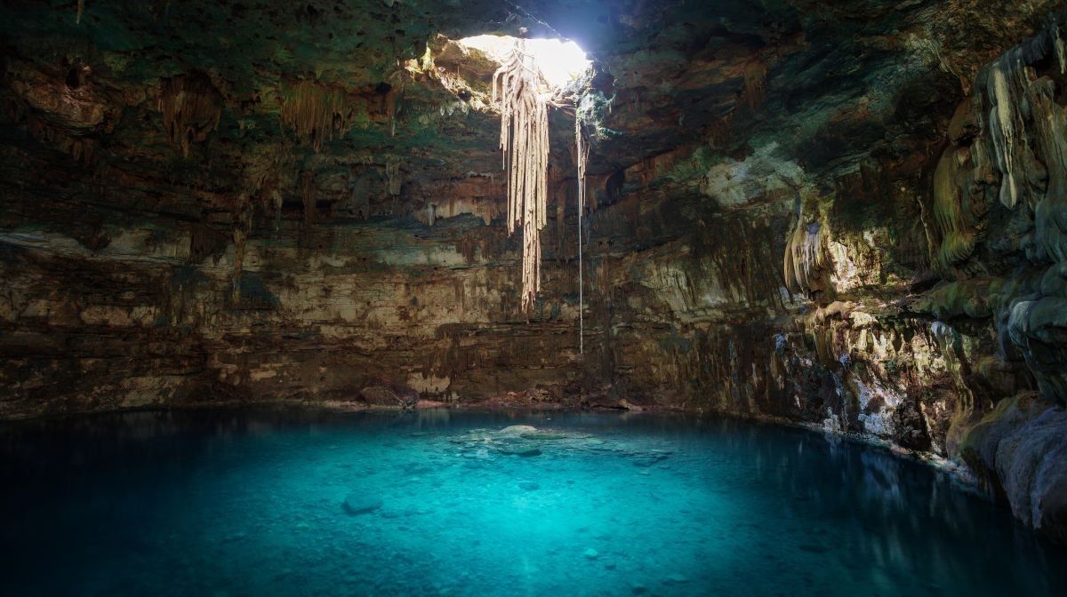 Stunning underground cenote near Camino Real Pedregal Mexico, with hanging roots and clear turquoise water