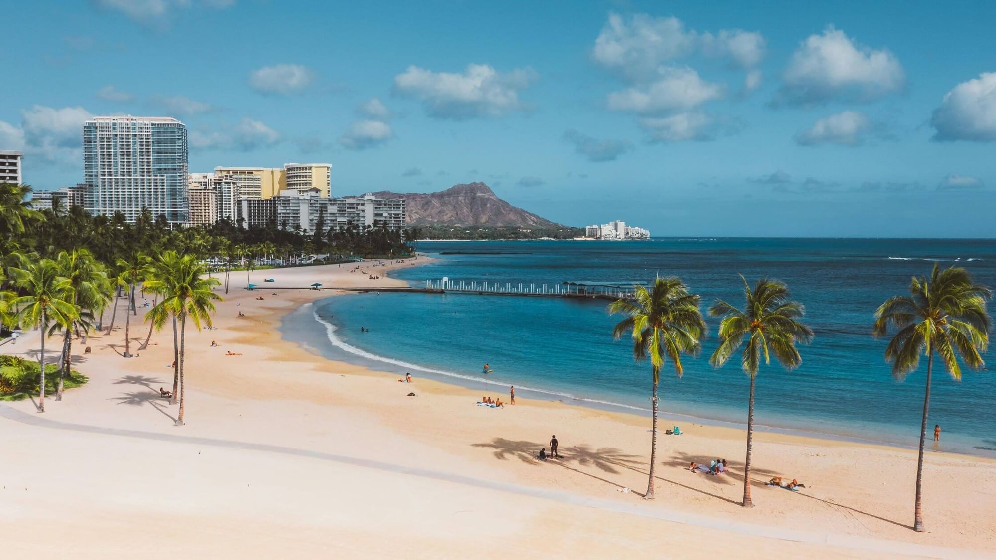 A beach with palm trees, ocean, and city skyline in the background