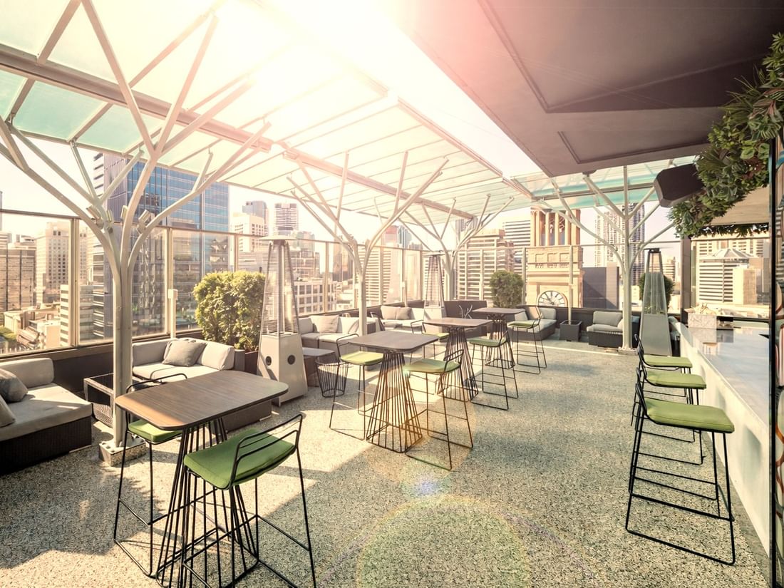 Sixteen Antlers looking at Brisbane CBD Skyline