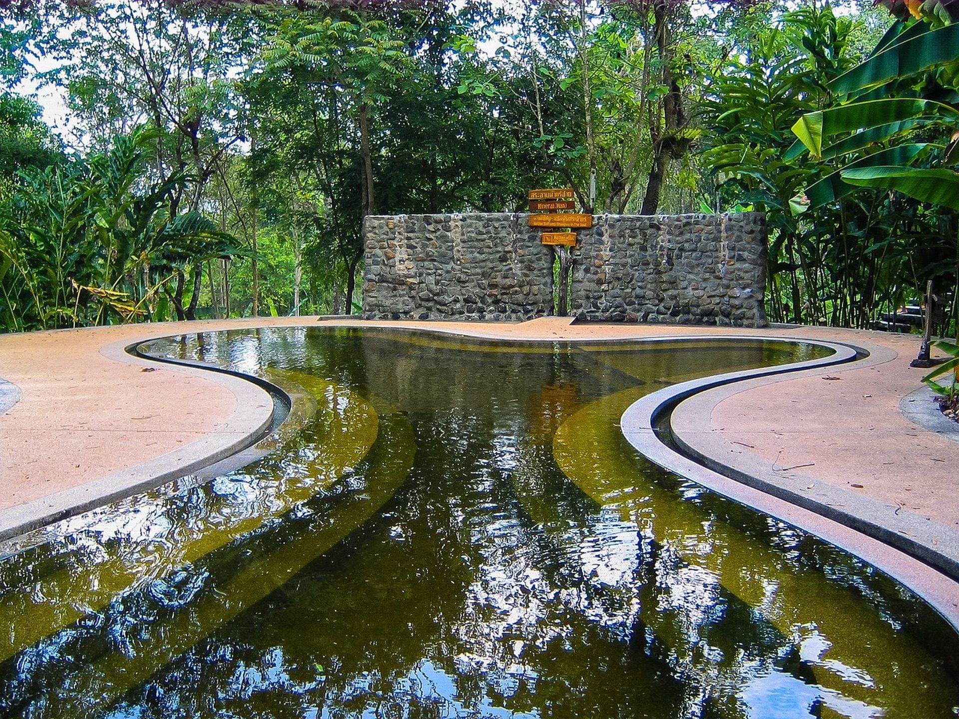 Estanque de agua con un diseño sinuoso y bordes de hormigón, en un entorno natural exuberante con una pared de piedra en el fondo y densa vegetación tropical.