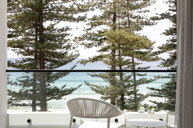 Ocean View King at Elysium Manly featuring a balcony seating overlooking pine trees and the calm ocean