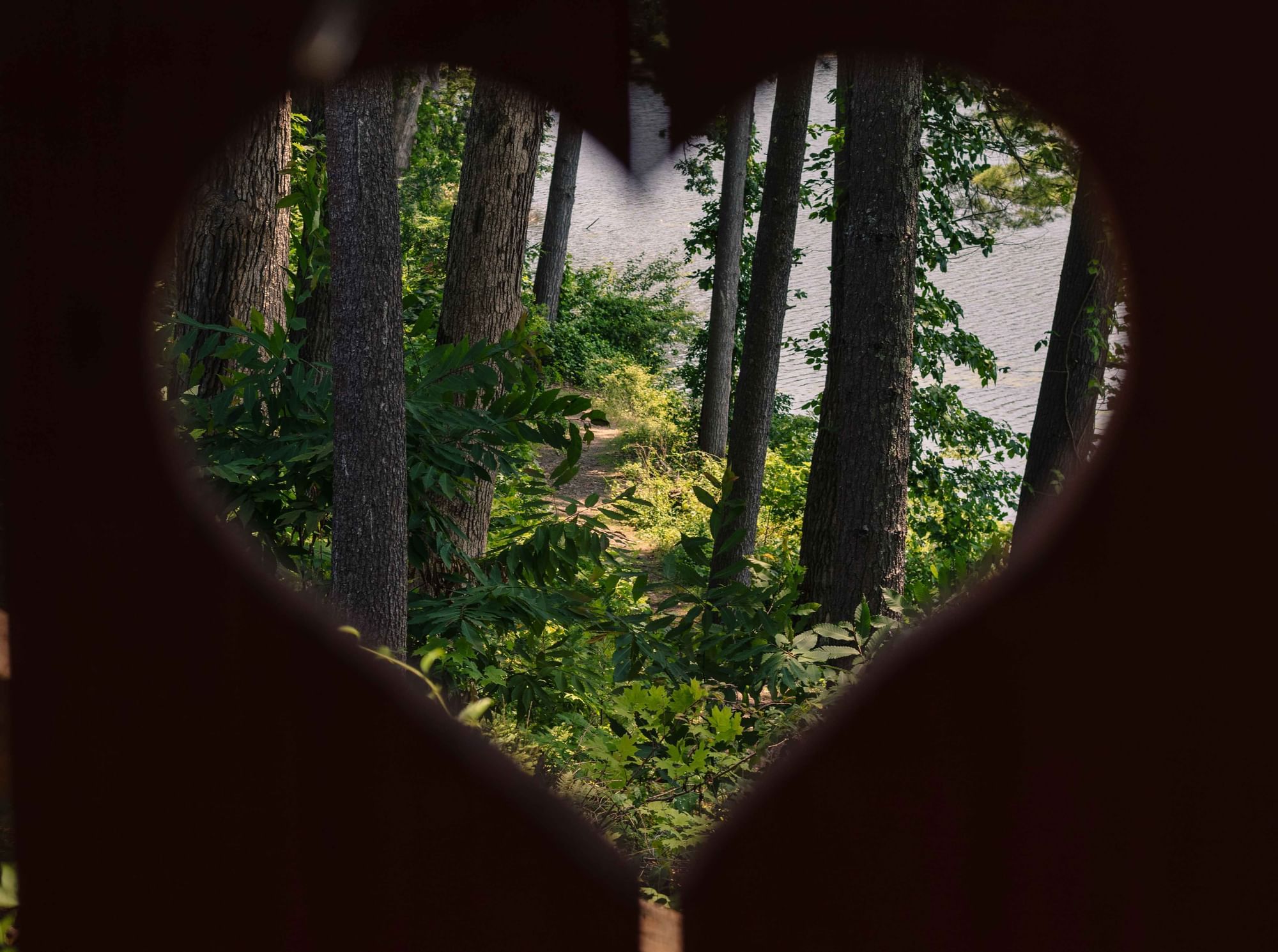 Heart-shaped cutout frames lush trees and a peaceful path leading to a calm lake at Cove Pocono Resorts
