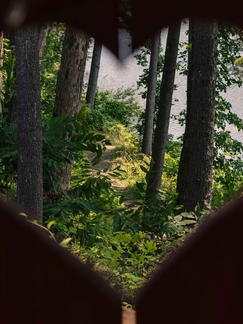 View of the forest trail through a heart shape near Cove Pocono Resorts