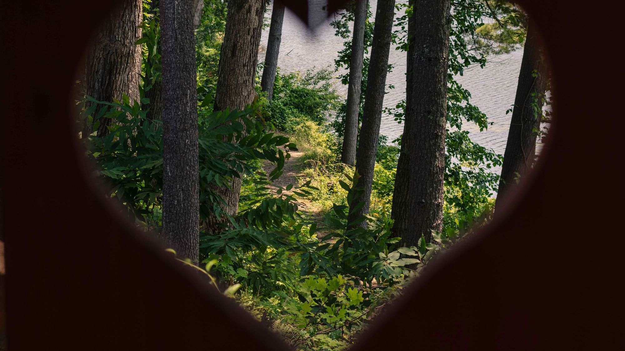 View of the forest trail through a heart shape near Cove Pocono Resorts