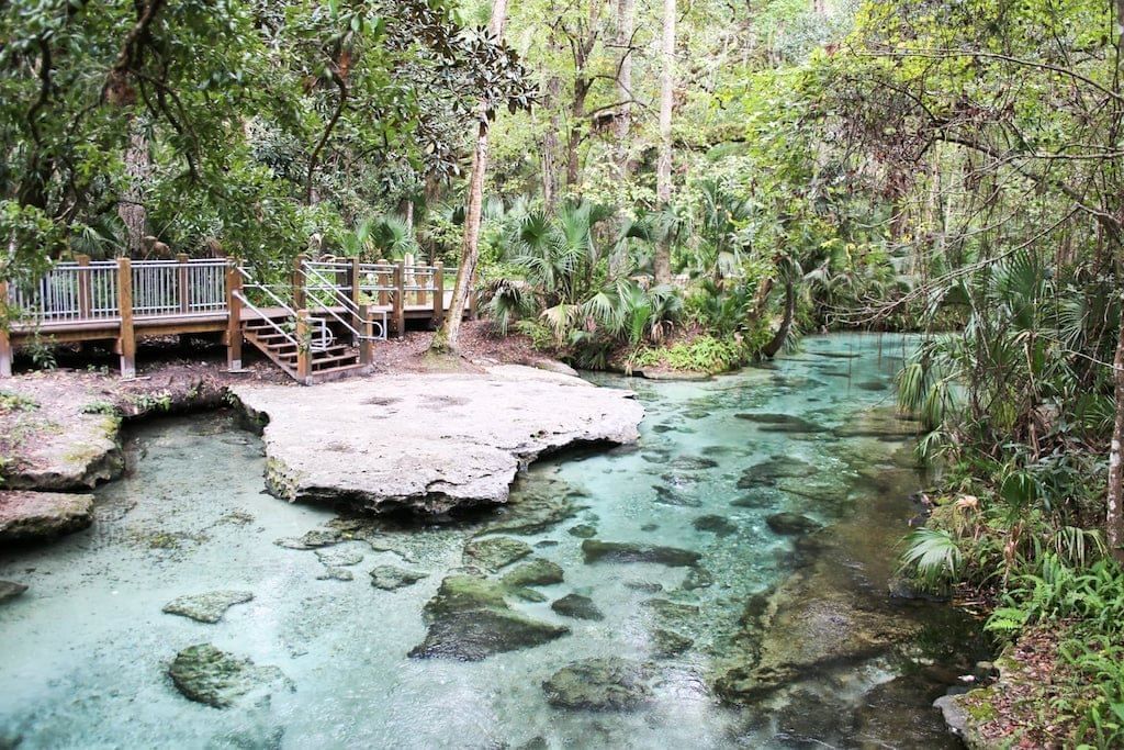 Forest spring with a wooden deck near Lake Buena Vista Resort Village & Spa