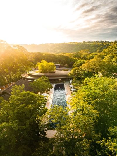 Aerial view of an outdoor pool surrounded by lush greenery in a sunset at El Mangroove Hotel