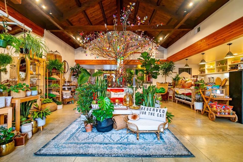 Cambria Nursery Downtown store entrance featuring house plants