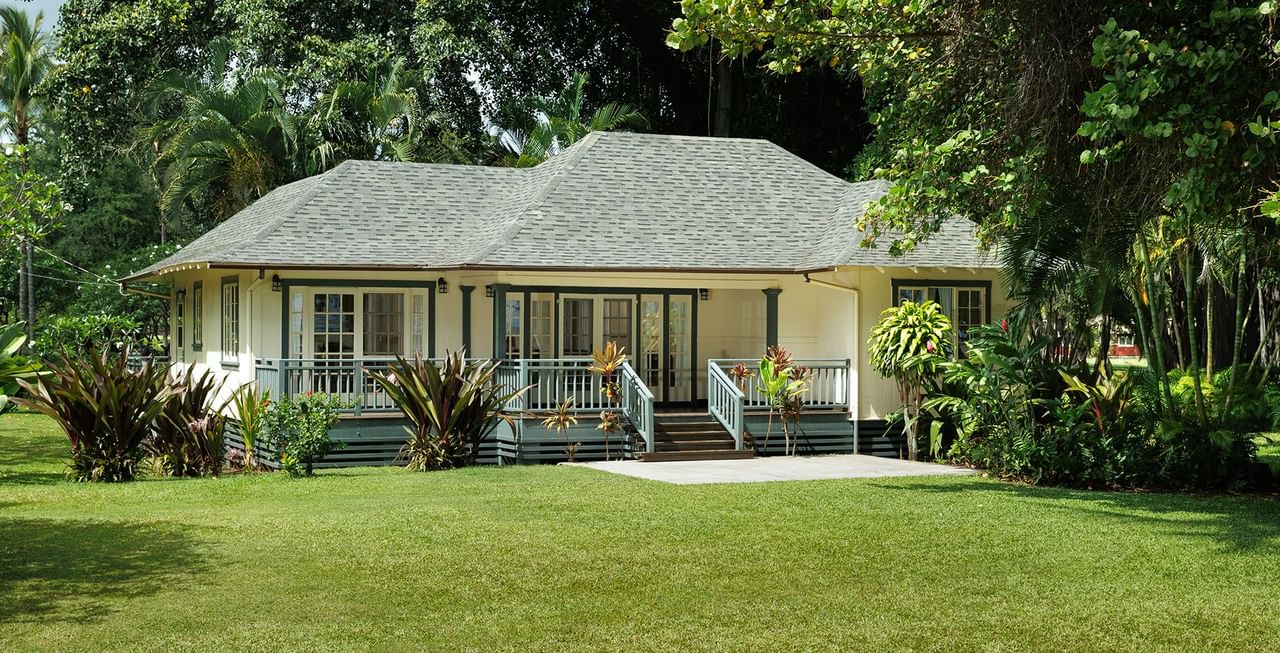 Cottage surrounded by trees
